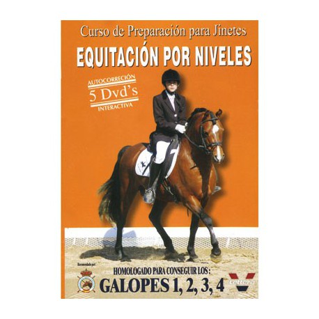 Curso de preparación para Jinetes: Equitación por Niveles